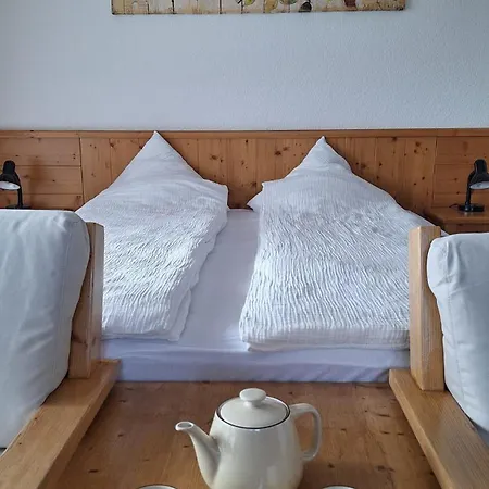 Apartamento Centre Thermal - Sud Terrasse Ovronnaz